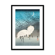 Egrets and Reeds in Moonlight Framed & Mounted Print