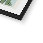 Blooming Lotus Flowers Framed & Mounted Print