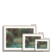 Water Lily Pond Framed & Mounted Print