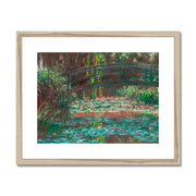 Water Lily Pond Framed & Mounted Print
