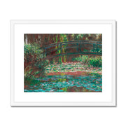 Water Lily Pond Framed & Mounted Print