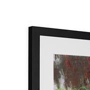 Water Lily Pond Framed & Mounted Print