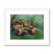 Crab on its Back Framed & Mounted Print