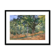 Animal fates (the trees showed their rings, the animals their veins) Framed & Mounted Print