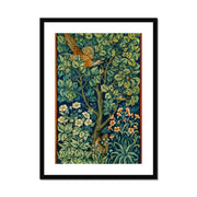 Cock Pheasant Framed & Mounted Print