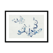 Japanese butterfly: Cho senshu (One Thousand Butterflies) 2 Framed & Mounted Print