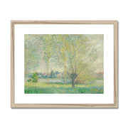 The Willows Framed & Mounted Print