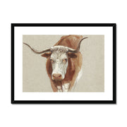 Head of a Cow or Ox Framed & Mounted Print
