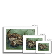Crab on its Back Framed & Mounted Print