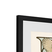 Ilsee, Princesse de Tripoli Framed & Mounted Print