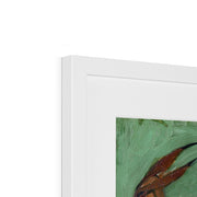 Crab on its Back Framed & Mounted Print