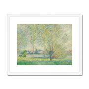 The Willows Framed & Mounted Print