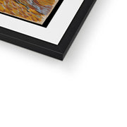 Olive Trees (1889) Framed & Mounted Print