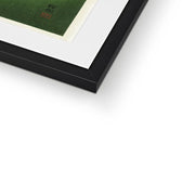Peacock Framed & Mounted Print