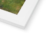 Grassy Riverbank Framed & Mounted Print