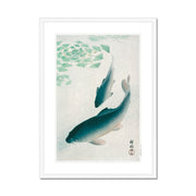 Carp or Koi Framed & Mounted Print