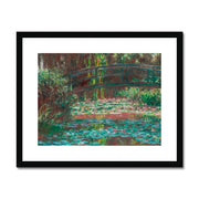 Water Lily Pond Framed & Mounted Print