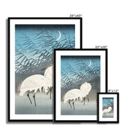 Egrets and Reeds in Moonlight Framed & Mounted Print