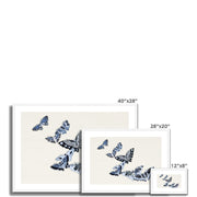 Japanese butterfly: Cho senshu (One Thousand Butterflies) 1 Framed & Mounted Print