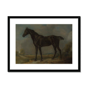 Golding Constable's Black Riding-Horse Framed & Mounted Print