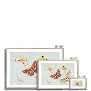 Japanese butterfly: Cho senshu (One Thousand Butterflies) Framed & Mounted Print