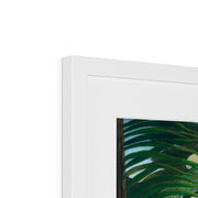 Fight between a Tiger and a Buffalo Framed & Mounted Print