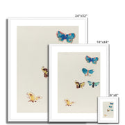 Five Butterflies Framed & Mounted Print