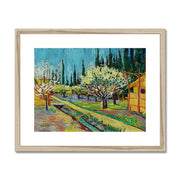 Orchard Bordered by Cypresses Framed & Mounted Print