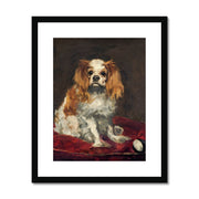 A King Charles Spaniel Framed & Mounted Print