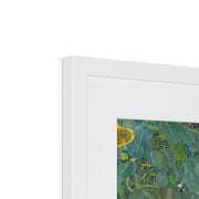 Farm Garden with Sunflowers Framed & Mounted Print