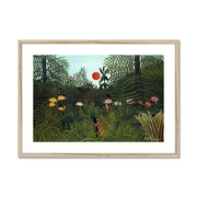 Virgin Forest with Sunset Framed & Mounted Print