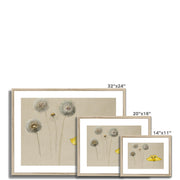 Study of White Daisy, Chamomile Stem with Two Petals, and a Chamomile Petal Framed & Mounted Print