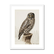 Great grey owl Framed & Mounted Print