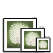 Peacock Framed & Mounted Print