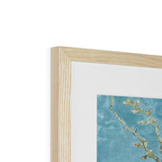Almond blossom Framed & Mounted Print