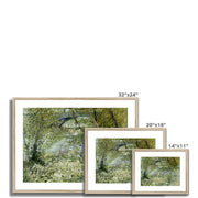 River Bank in Springtime Framed & Mounted Print