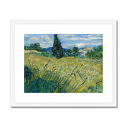 Green Wheat Field with Cypress Framed & Mounted Print
