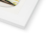 Two Parrots on a Barren Tree  Framed & Mounted Print