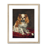 A King Charles Spaniel Framed & Mounted Print