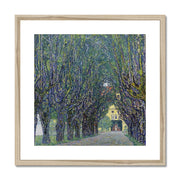 Allee at Schloss Kammer Framed & Mounted Print