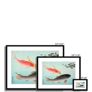 Common and Golden Carp Framed & Mounted Print