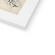 Two Peacocks on Tree Branch Framed & Mounted Print