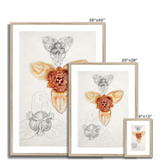 Japanese Lily, East Hampton  Framed & Mounted Print