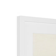 Five Butterflies Framed & Mounted Print