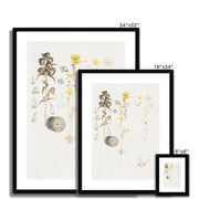 Buttercups, Mt. Desert Framed & Mounted Print