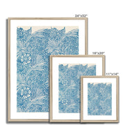Blue Marigold Framed & Mounted Print
