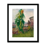 Allotment with Sunflower Framed & Mounted Print