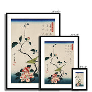 The ukiyo-e illustration, Camellia and Nightingale Framed & Mounted Print