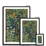 Cock Pheasant Framed & Mounted Print