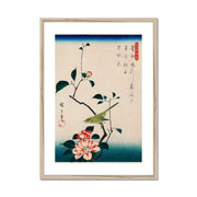 The ukiyo-e illustration, Camellia and Nightingale Framed & Mounted Print
